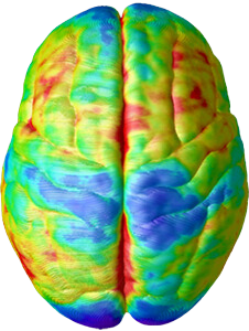 Brain at age 5