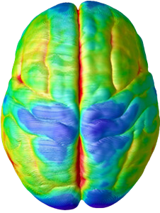 Brain at age 10