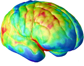 Side Brain at age 5