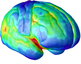 Side Brain at age 15